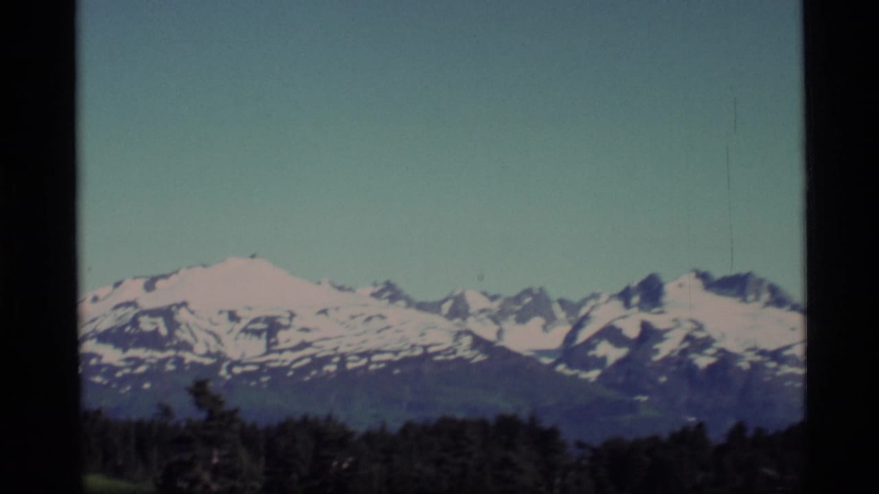 Snow-capped mountain range beyond a dark forest under a pale sky.