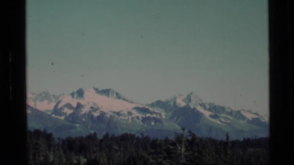 1977 Alaska 8mm frame with jagged snowy peaks visible beyond a low forested foreground.