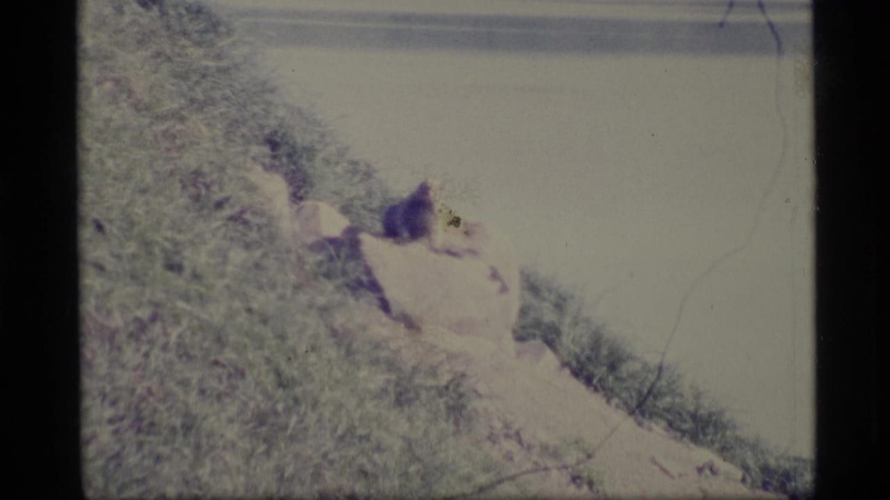 1977 Alaska 8mm frame showing a small furry animal resting on a rocky grassy shoreline above calm water.