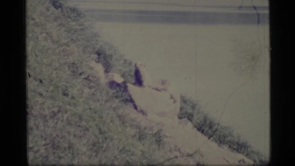 1977 Alaska home-movie frame of a small animal staying still on rocks, with soft water and hillside tones behind it.