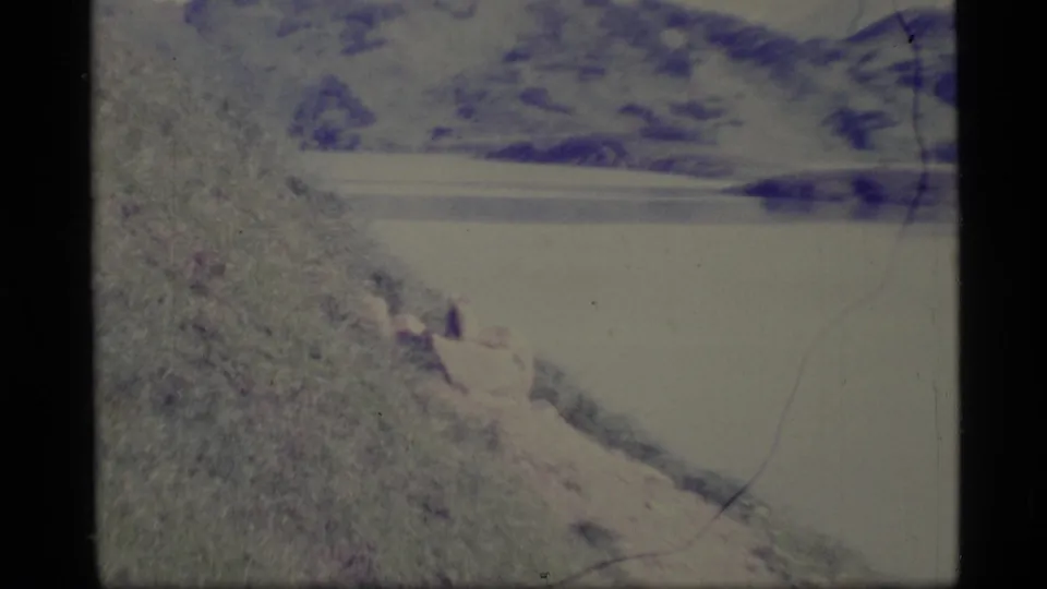 1977 Alaska frame with a small animal on a rocky slope, calm water beyond and distant dark shoreline or mountains visible.