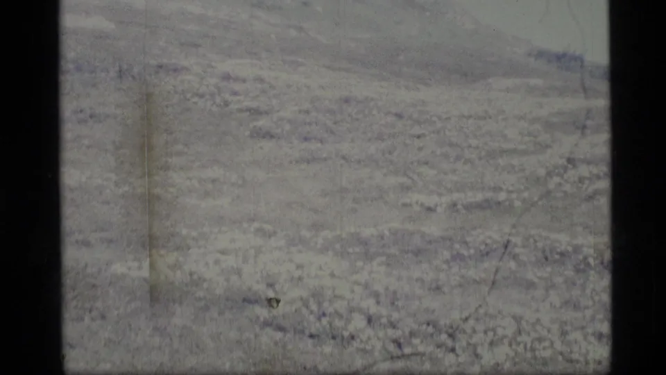 1977 Alaska 8mm frame of an open grassy plain and low hillside, with faded exposure and visible film wear.