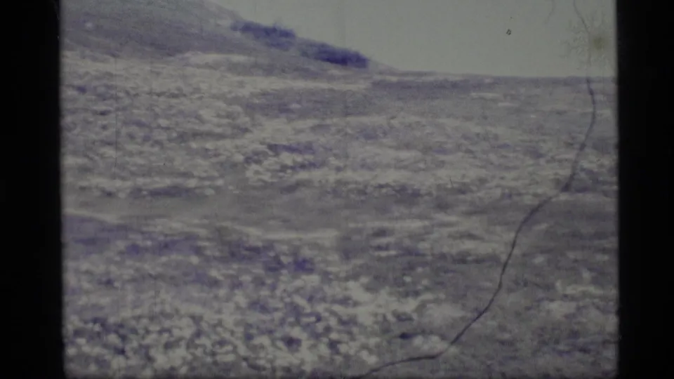 1977 Alaska 8mm frame of wide grassy terrain and a low ridge, marked by grain, scratches, and faded color.