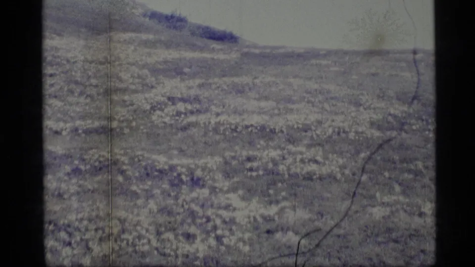 Faded 1977 Alaska 8mm frame showing low natural ground cover and a distant slope before the mushroom close-up.