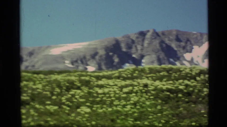 1977 Alaska 8mm frame of a rocky mountain slope with lingering snow above a green meadow of yellow wildflowers.
