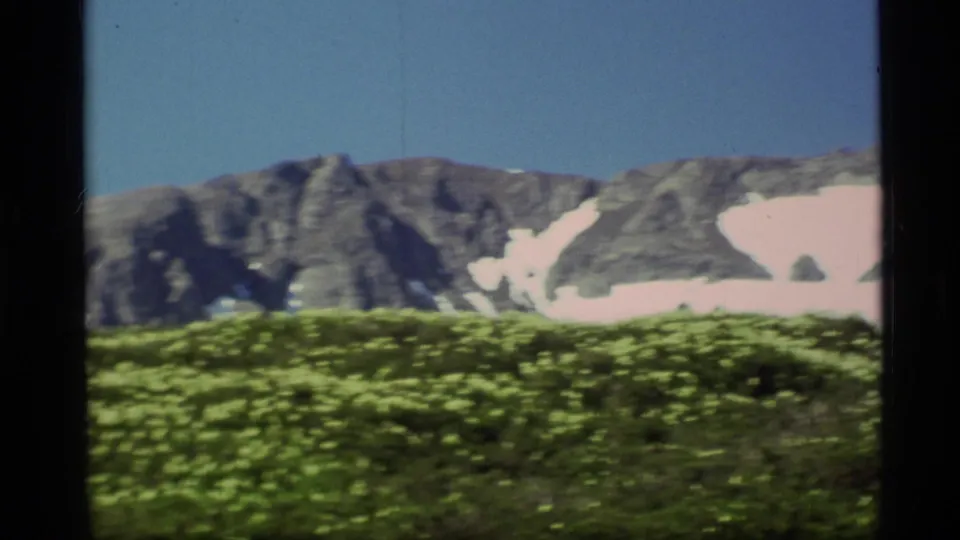 1977 Alaska 8mm frame showing yellow wildflowers across the foreground with a gray, snow-streaked mountain slope behind.
