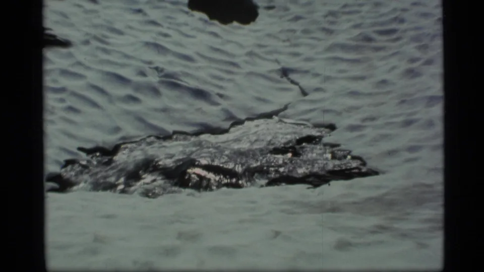 1977 Alaska 8mm frame showing a dark rock embedded in rippled snow or ice, with a narrow melt line cutting across the surface.