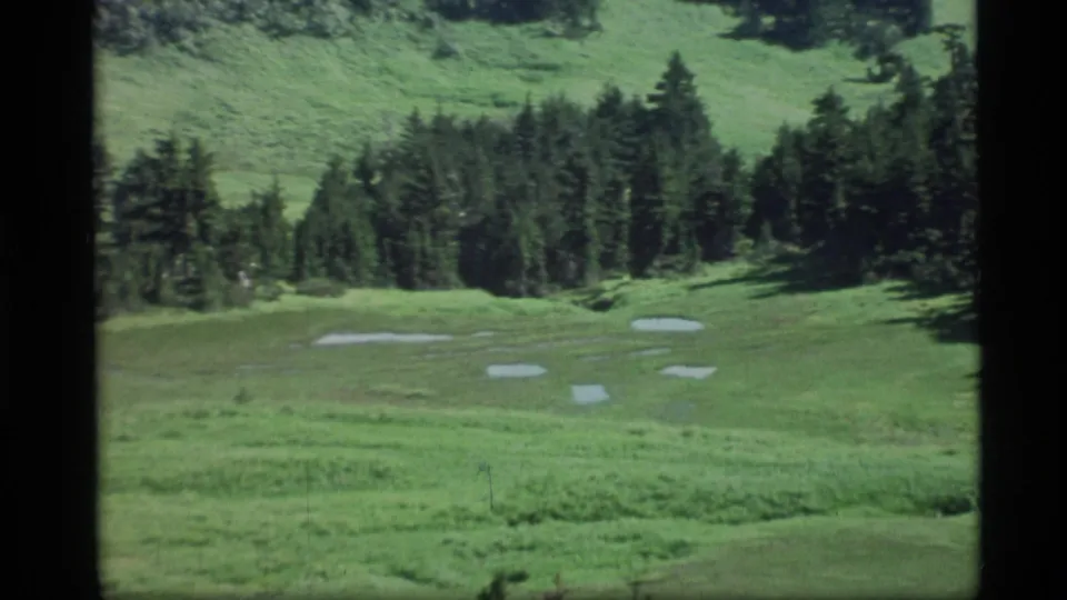 Alaskan meadow and conifer-covered hillside, with pale reflective patches scattered across the grass in a 1977 home-movie frame.