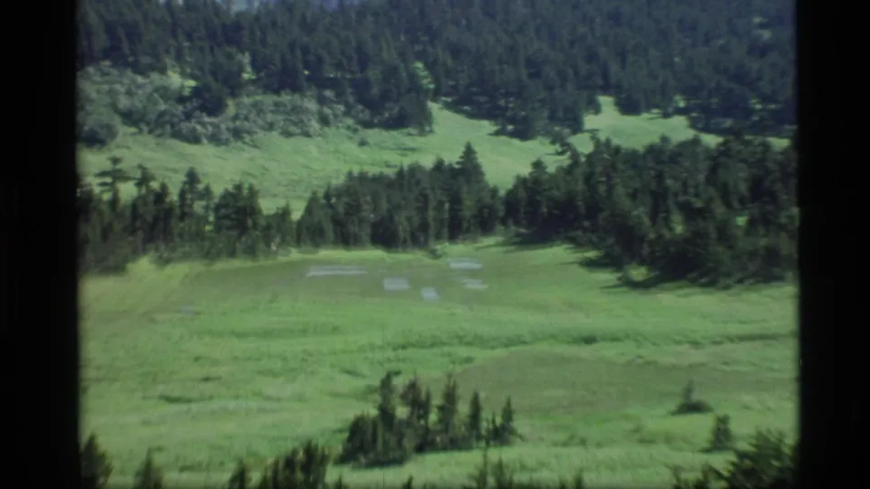 Wide 1977 Alaska landscape frame with green meadow, scattered pale patches, conifer stands, and forested hills beyond.