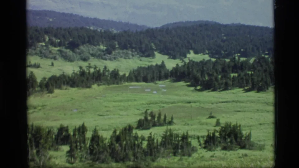 Wide Alaskan home-movie view from 1977 showing a meadow basin, conifer clusters, pale patches, and layered wooded ridgelines.