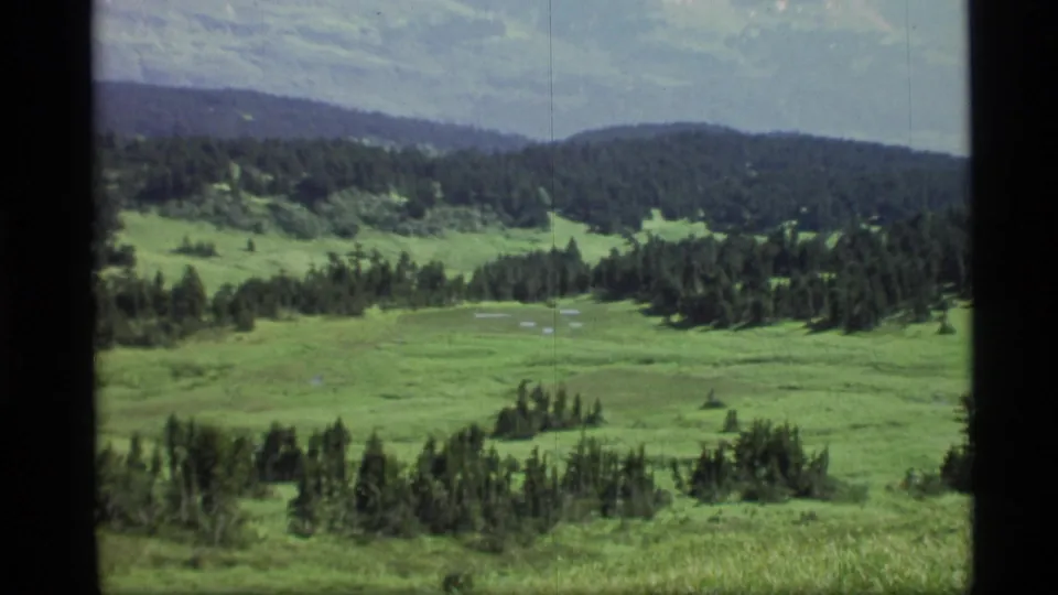 Green Alaskan meadowland and forested hills appear within dark 8mm gate edges, with distant ridges beyond.