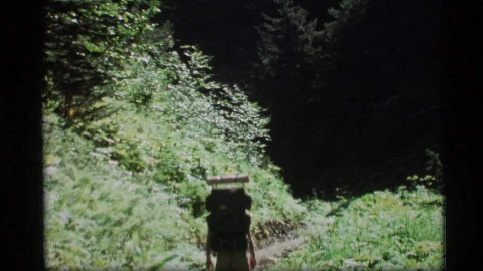 A backpacked figure walks toward a darker wooded section of the Alaska trail, framed by bright greenery.
