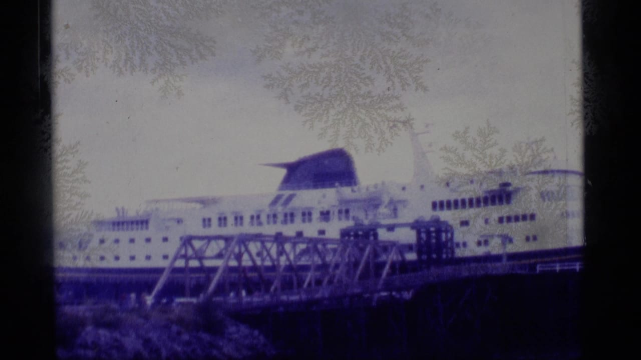 Cruise ship and metal dock structure viewed through a weathered window.