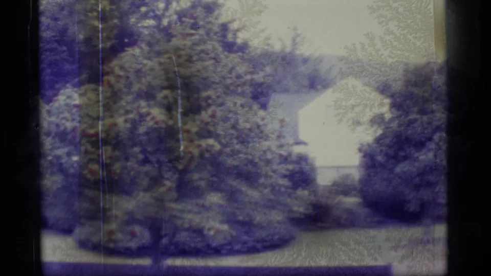 1977 Alaska 8mm frame showing a light-colored building set among dense trees and bushes, filmed from a visitor's viewpoint.