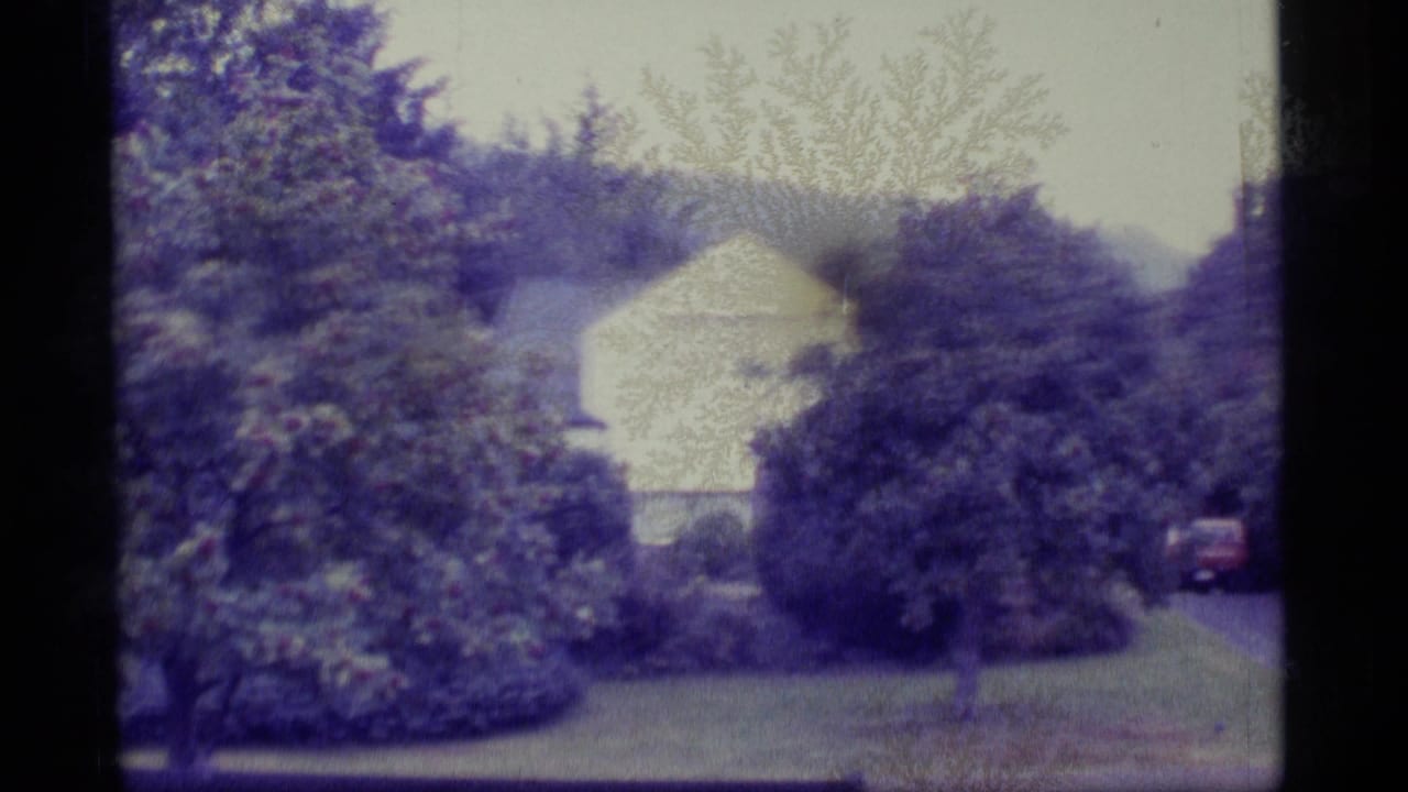 1977 Alaska 8mm frame showing a white building beyond trees, shrubs, and a grassy foreground.