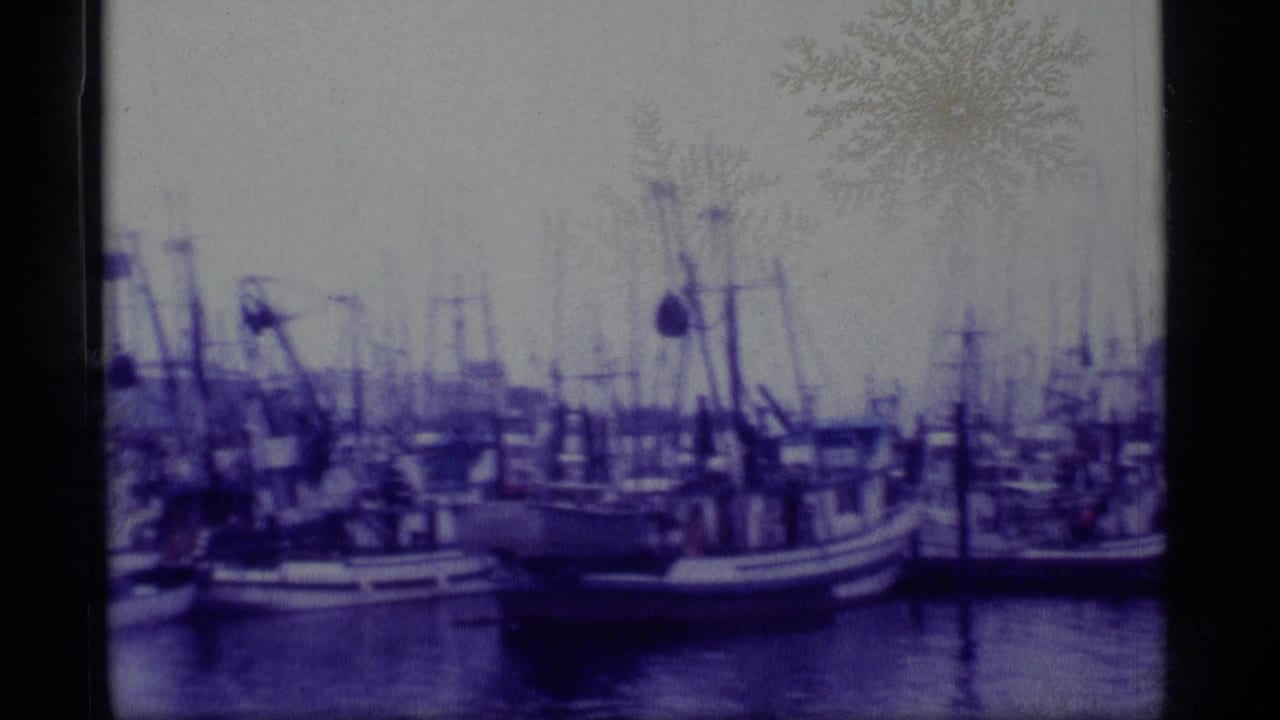 1977 Alaska 8mm frame showing docked fishing boats, masts, rigging, pilings, calm water, and a hazy shoreline.