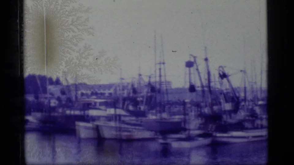 1977 Alaska 8mm frame of moored fishing boats, dock structures, rigging, calm harbor water, trees, and distant land.