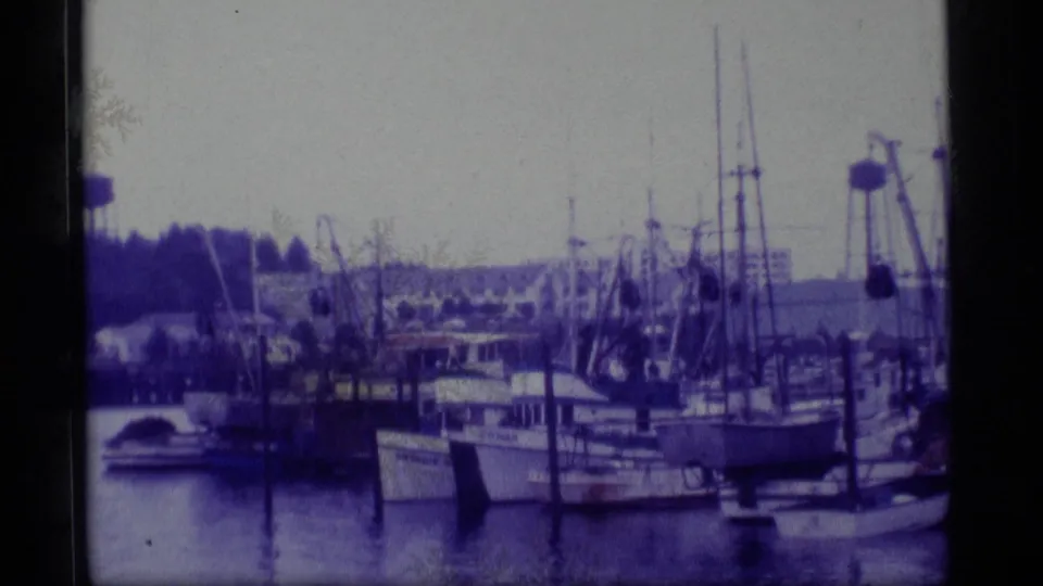 1977 Alaska harbor frame showing fishing boats tied near pilings, tall masts, rigging, calm water, and a tree-lined shore.