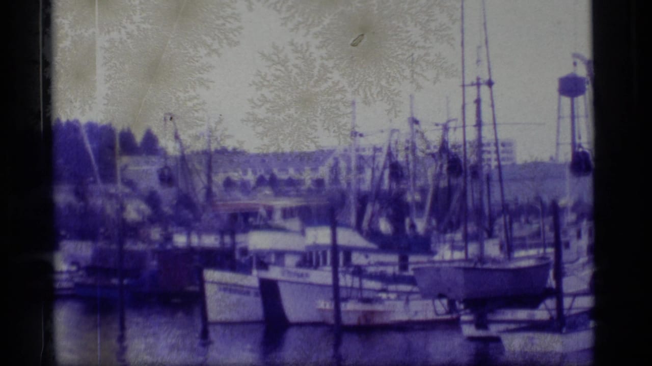1977 Alaska 8mm frame showing moored fishing boats, masts, dock pilings, and soft waterfront structures through a purple-tinted scan.