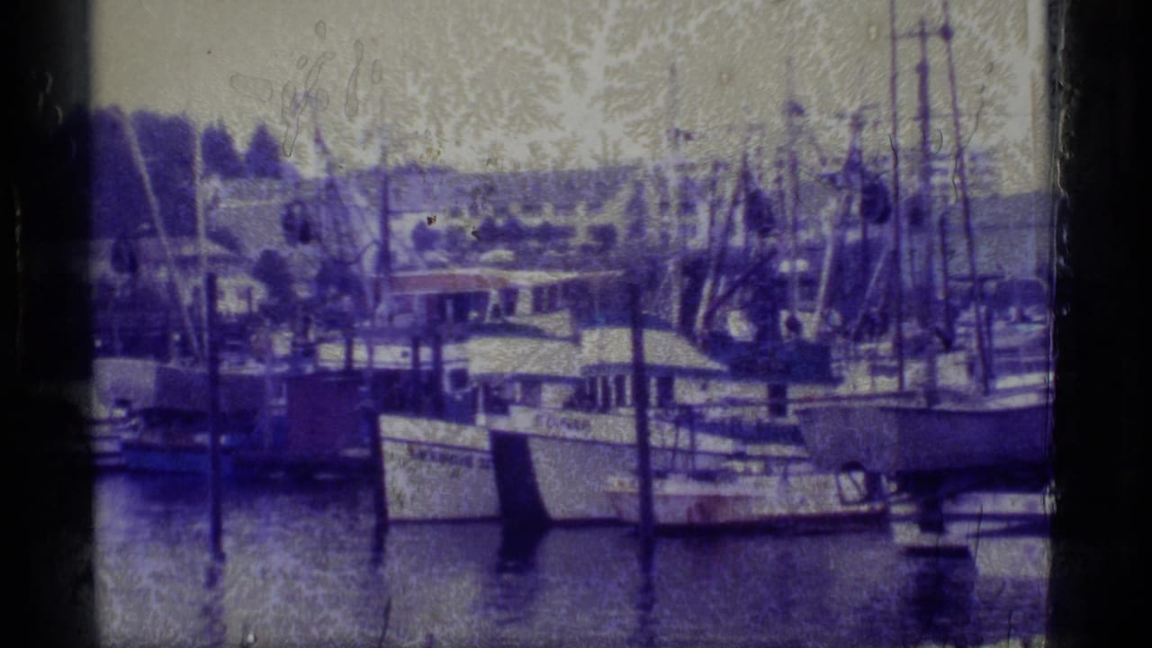 Harbor boats and pilings with waterfront buildings in the background.