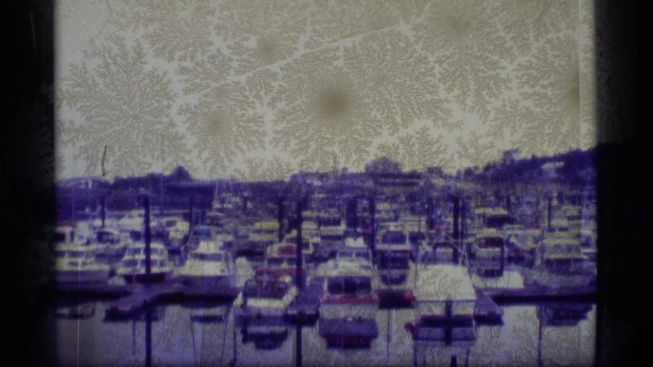 1977 Alaska home-movie frame of a crowded marina with rows of small boats, dock pilings, and low shoreline structures.