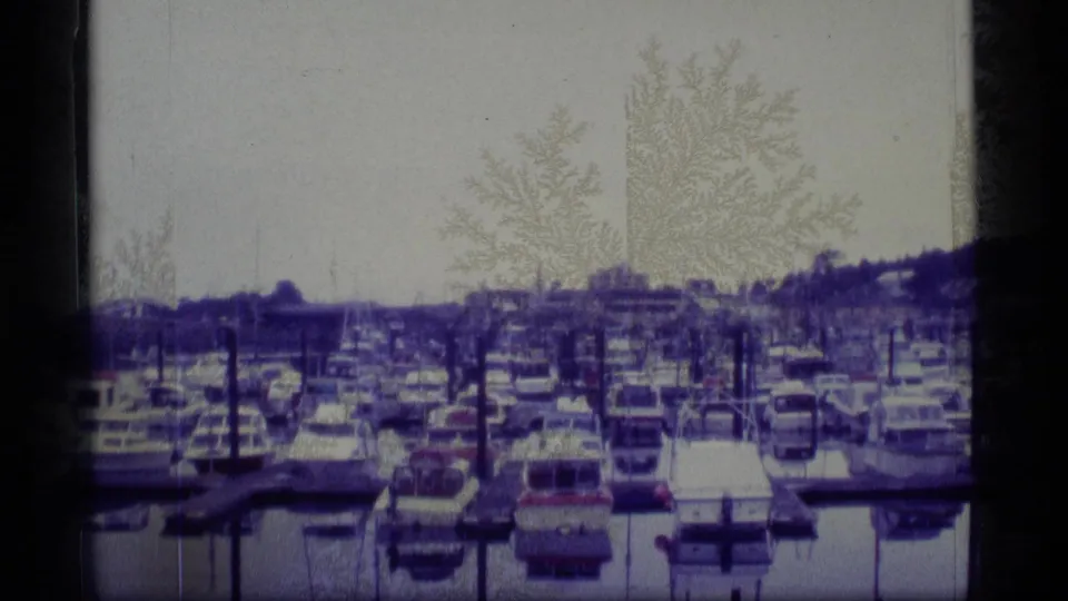 1977 Alaska 8mm frame showing clustered marina boats, dock posts, still water, and a low wooded shoreline.