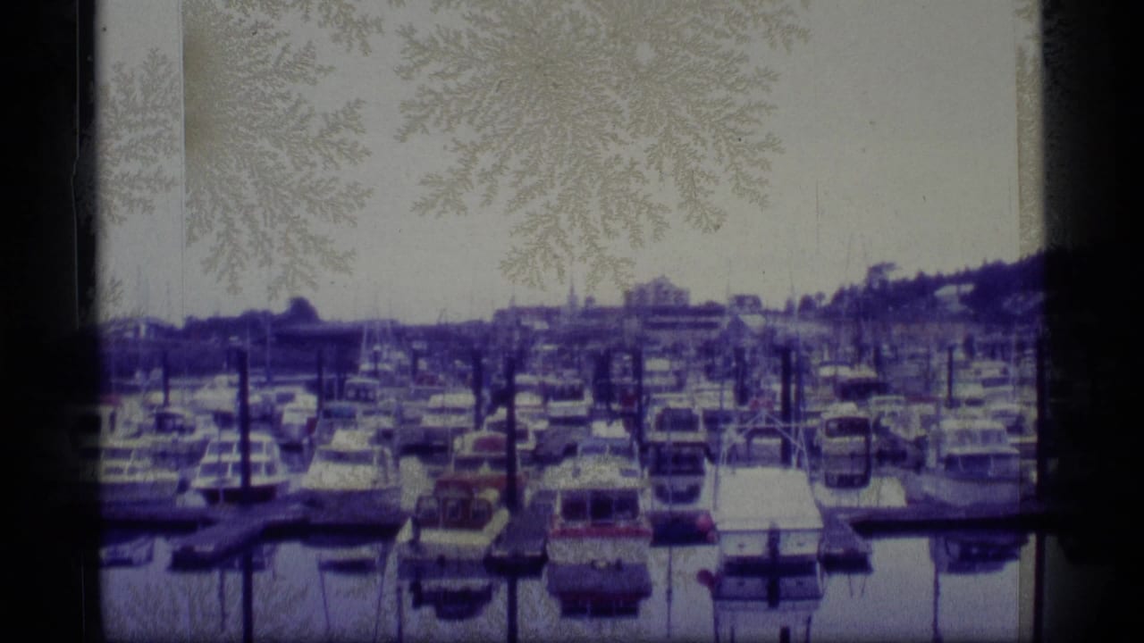 1977 Alaska 8mm frame showing a marina packed with small boats in calm water, with docks and low shoreline in the distance.