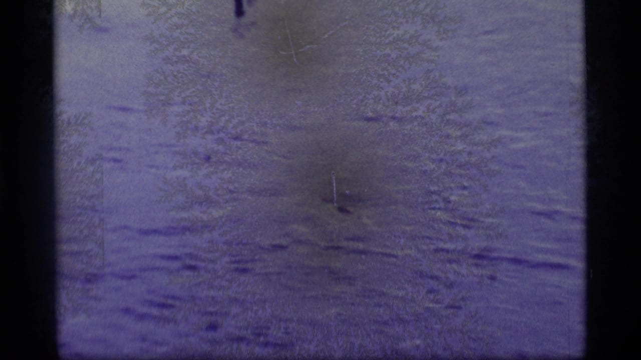 Murky purple water with faint ripples and dark film borders.