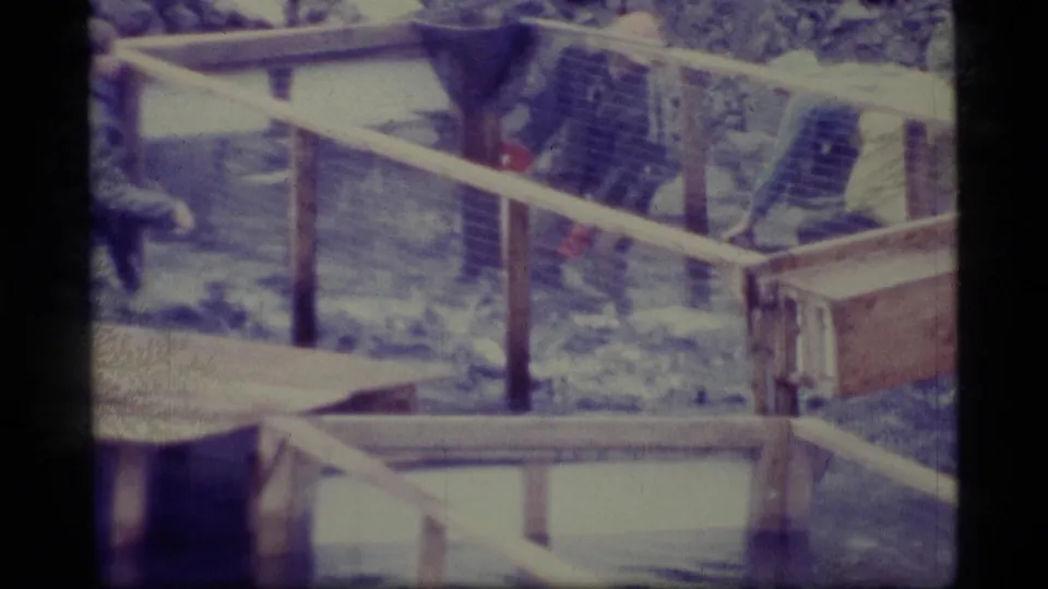 1977 Alaska 8mm frame showing workers handling fish or equipment beside a wooden-railed freshwater tank area.