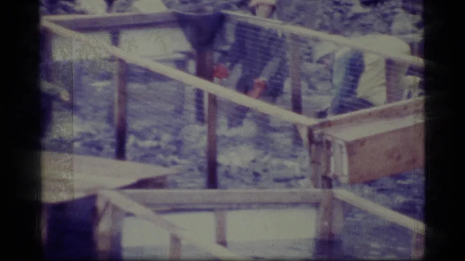 1977 Alaska home-movie frame of workers bending over a wooden-railed tank within an outdoor freshwater aquaculture facility.