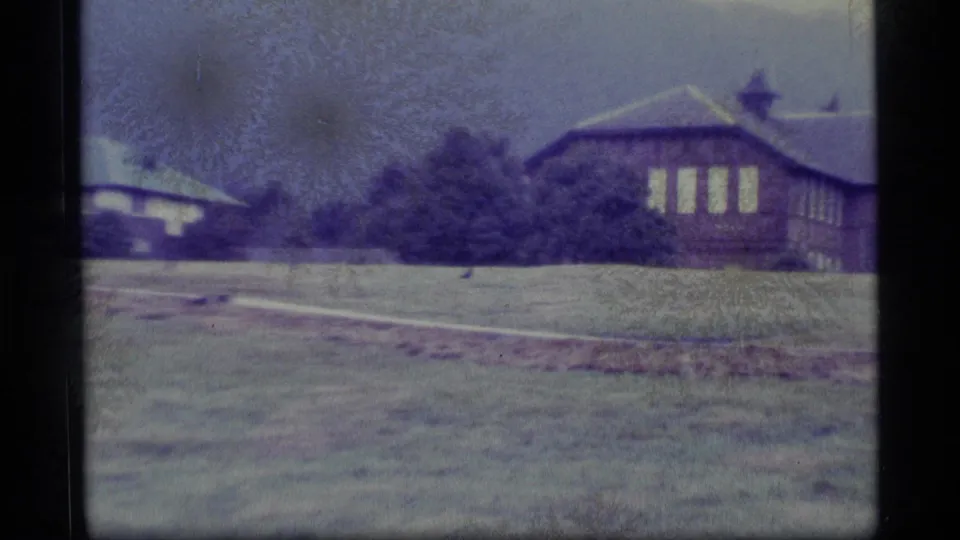 A closer home-movie view of the brown rural building and shrubs, with the duck visible low across the grass.
