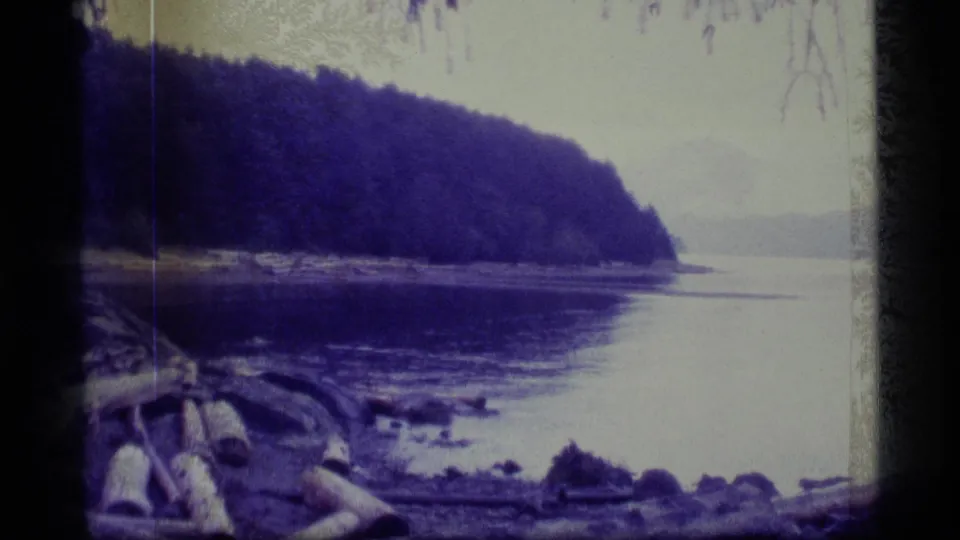 1977 8mm view of an Alaskan forested shoreline with calm water, driftwood, and overcast light.