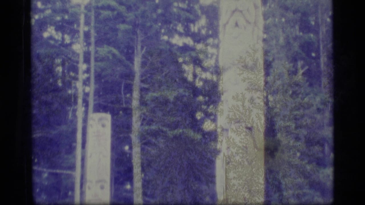 Tall carved poles standing in grass with evergreen trees behind them.