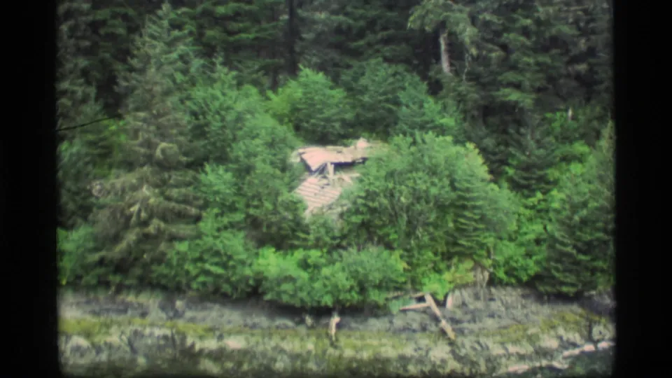 1977 Alaska 8mm frame with a small sloped roof partly obscured by dense green forest and foreground brush.