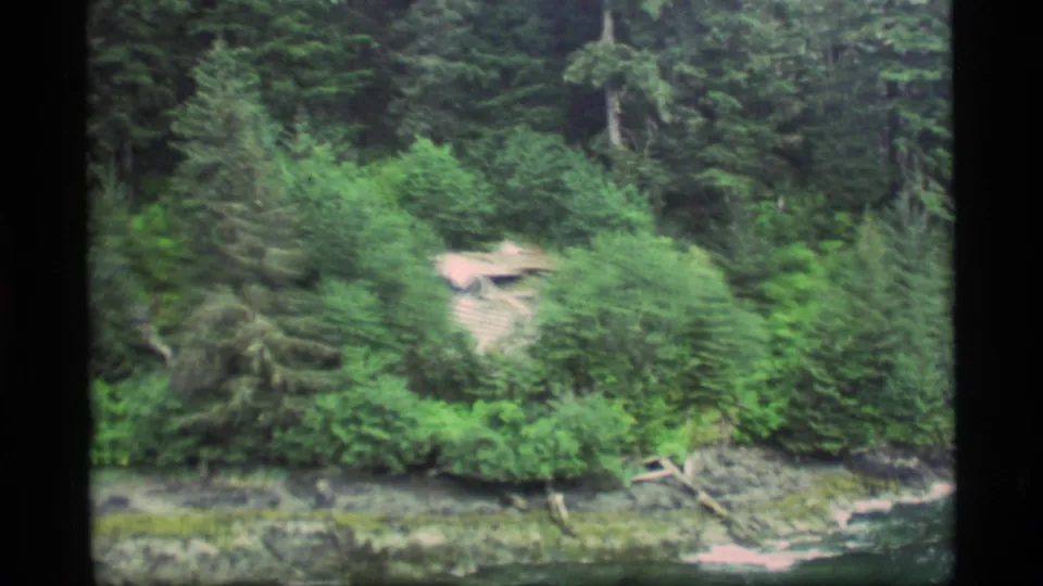 Moving 8mm view of an Alaska shoreline, with a pale roof partly visible among thick green trees and rocky ground.