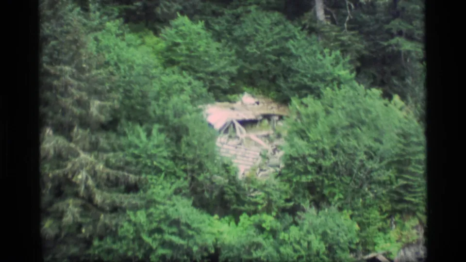 1977 Alaska 8mm frame with a small weathered roof tucked into dense trees above a rocky coastal edge.
