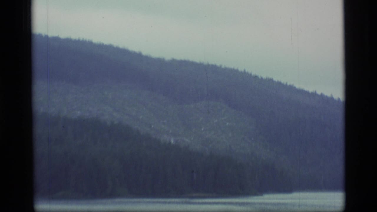 Forested coastal hillside above calm water under a pale overcast sky.