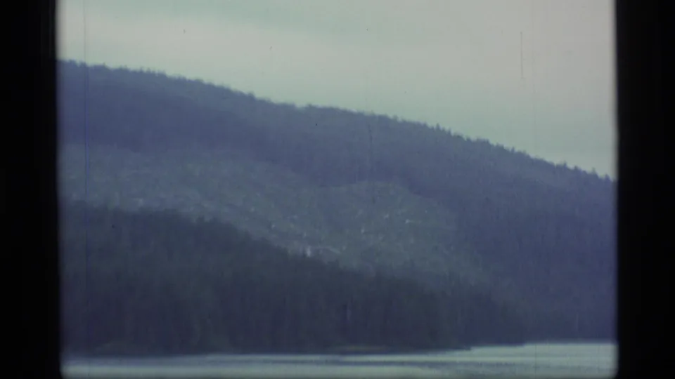 1977 8mm Alaska home-movie frame showing a dark pine-covered slope descending toward calm coastal water beneath an overcast sky.