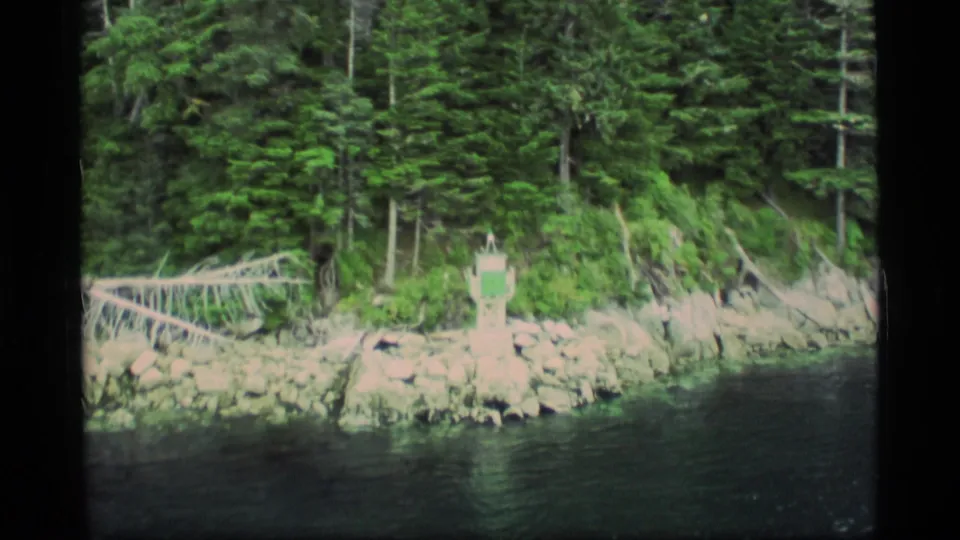 Forested Alaskan shoreline seen from the water, with rocks, driftwood, and a small green-and-white navigation marker.