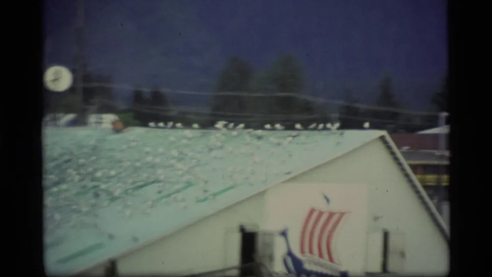 Alaska harbor rooftop covered with seagulls, with a visible Viking ship-style logo on the building below and dark mountains behind.