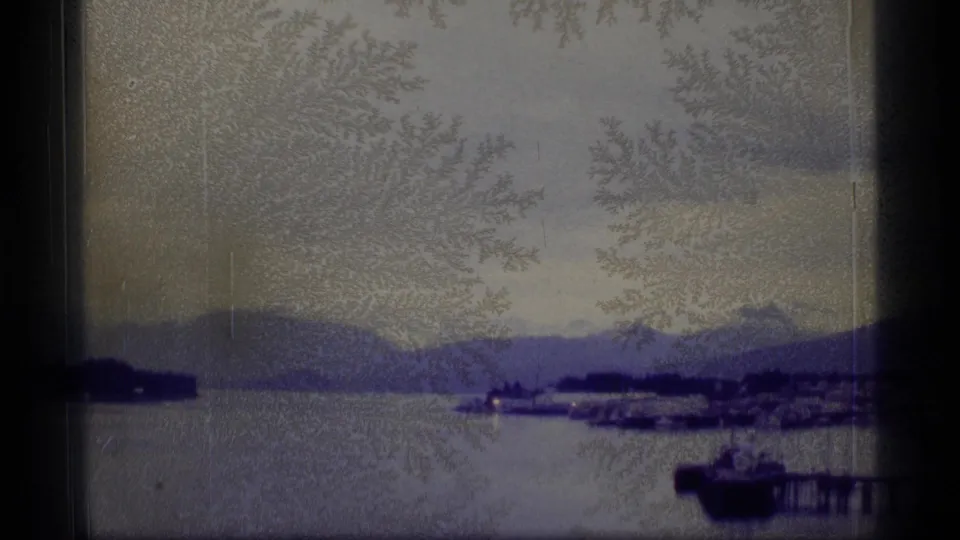 Alaska harbor view with a small coastal town, boats, wooded shoreline, and mountains visible through textured 8mm film grain.