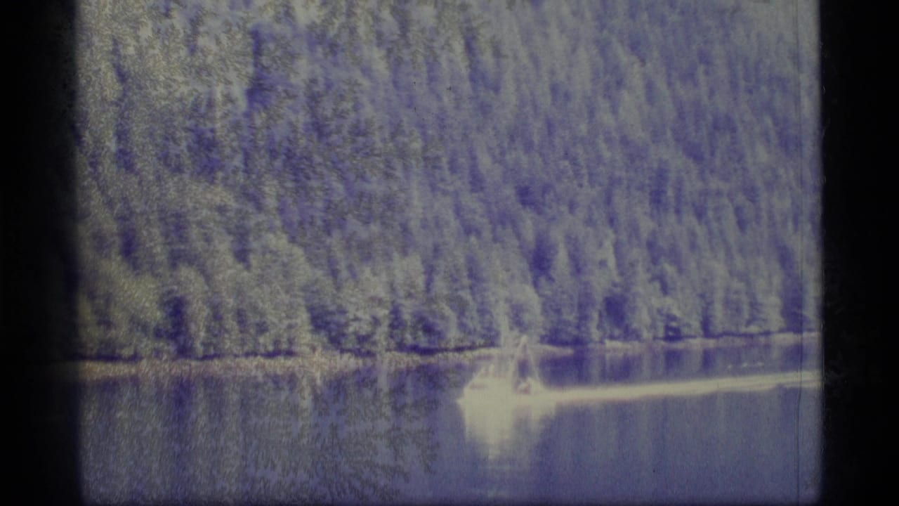 Small bright boat crossing calm water below a dense evergreen shoreline.