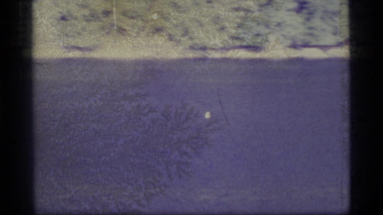 1977 Alaska 8mm frame showing a calm river, distant evergreen bank, and small pale bird against a purple color cast.
