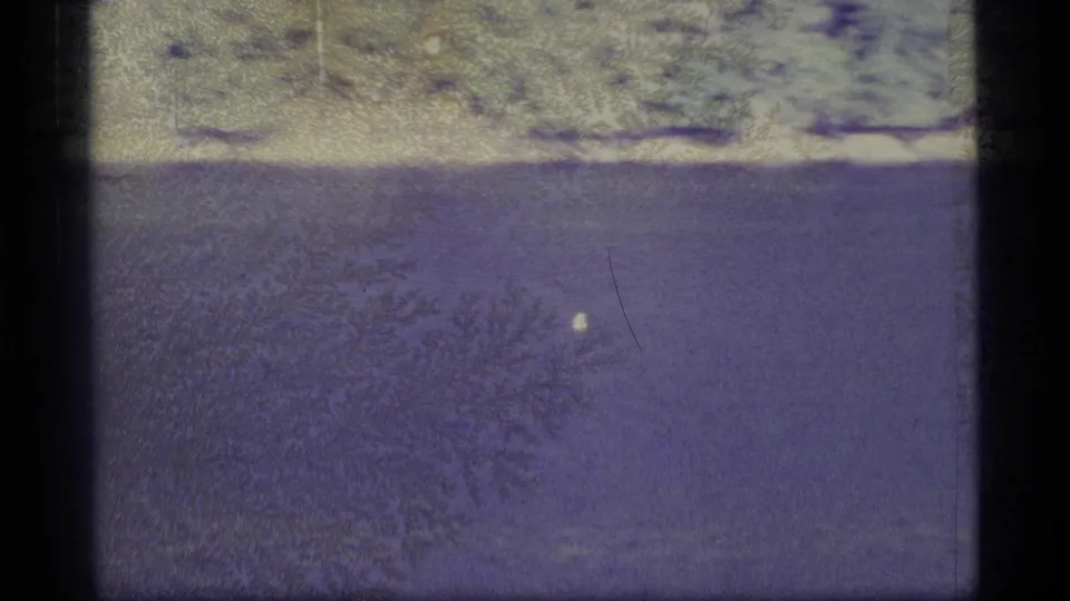 1977 Alaska 8mm frame showing a calm river, distant evergreen bank, and small pale bird against a purple color cast.