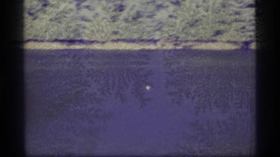 1977 Alaska home-movie frame with a small pale bird crossing over dark rippled water near a wooded bank.