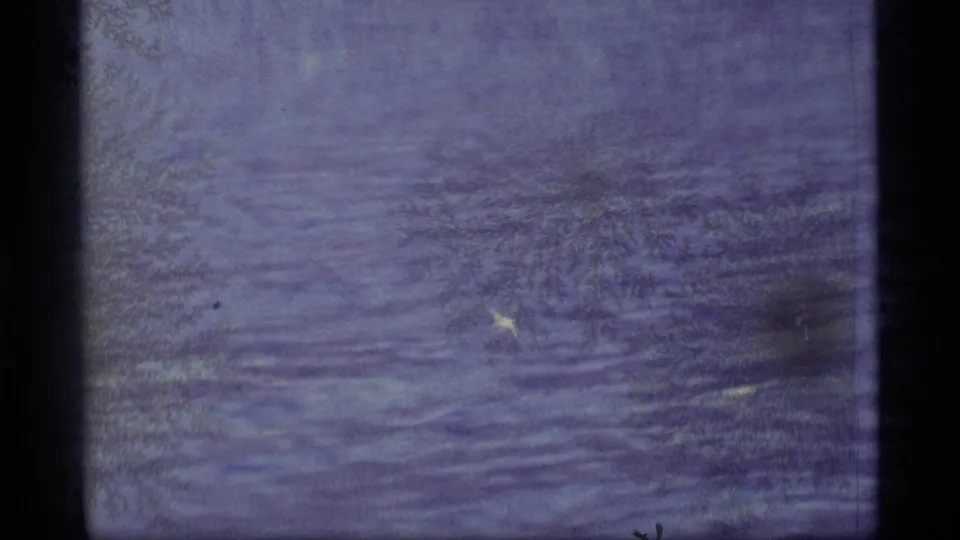 1977 Alaska 8mm frame showing rippled river water and a small bright bird near the lower center of the shot.
