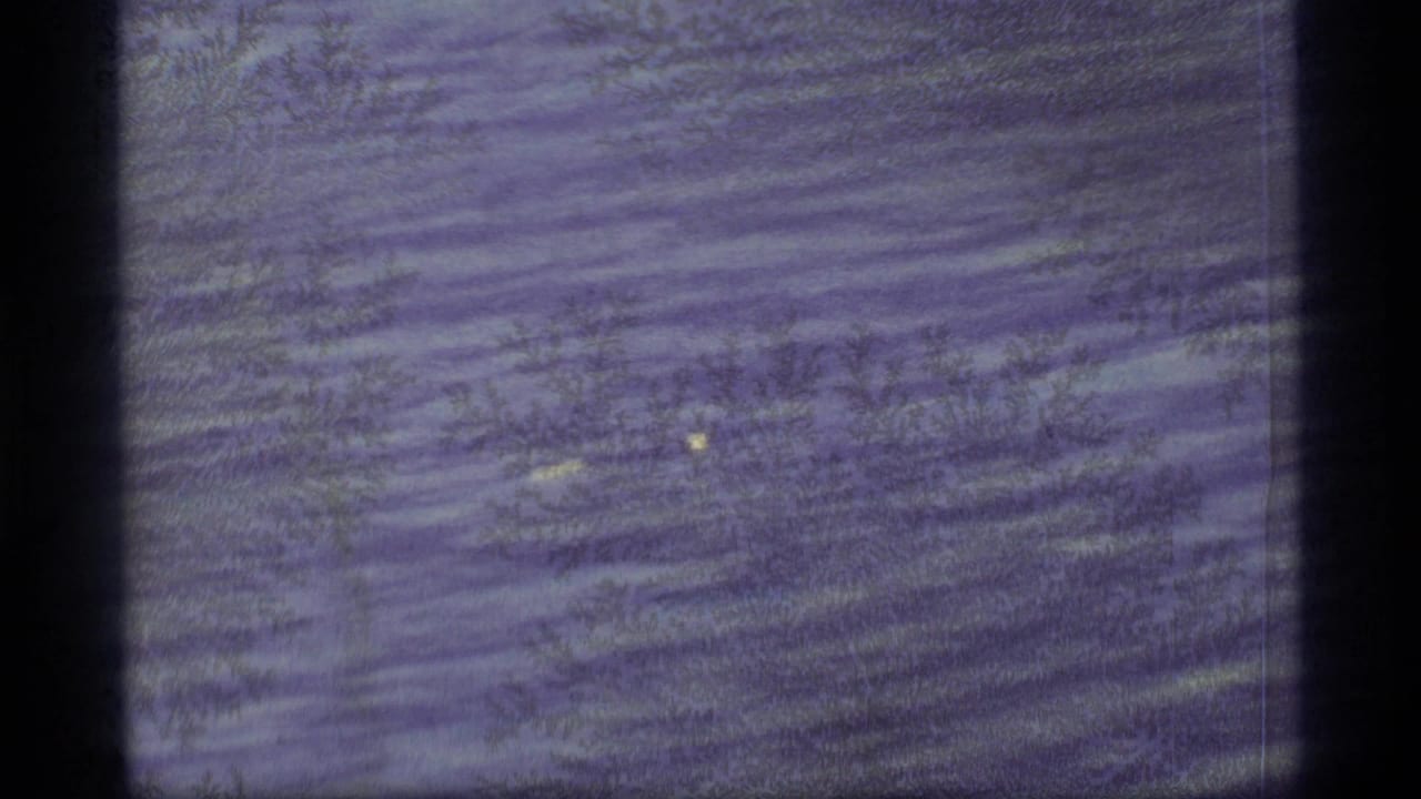 1977 Alaska 8mm frame showing rippled water and shoreline texture, framed by dark film edges and faded purple-blue color.