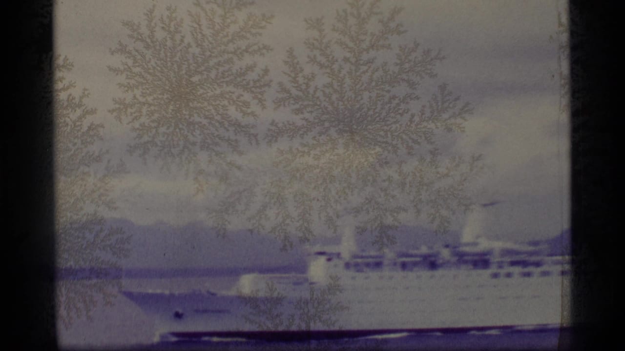 Large passenger ship near a wooded shoreline with distant land behind it.