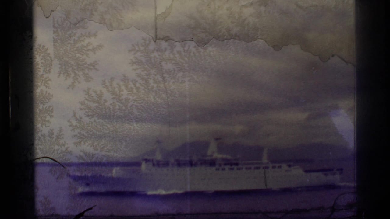 Large white passenger boat on the water beneath a cloudy sky.