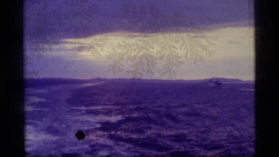 A purple-shifted 8mm view shows sunset or low light over ocean water, with distant Alaska shoreline and visible film wear.